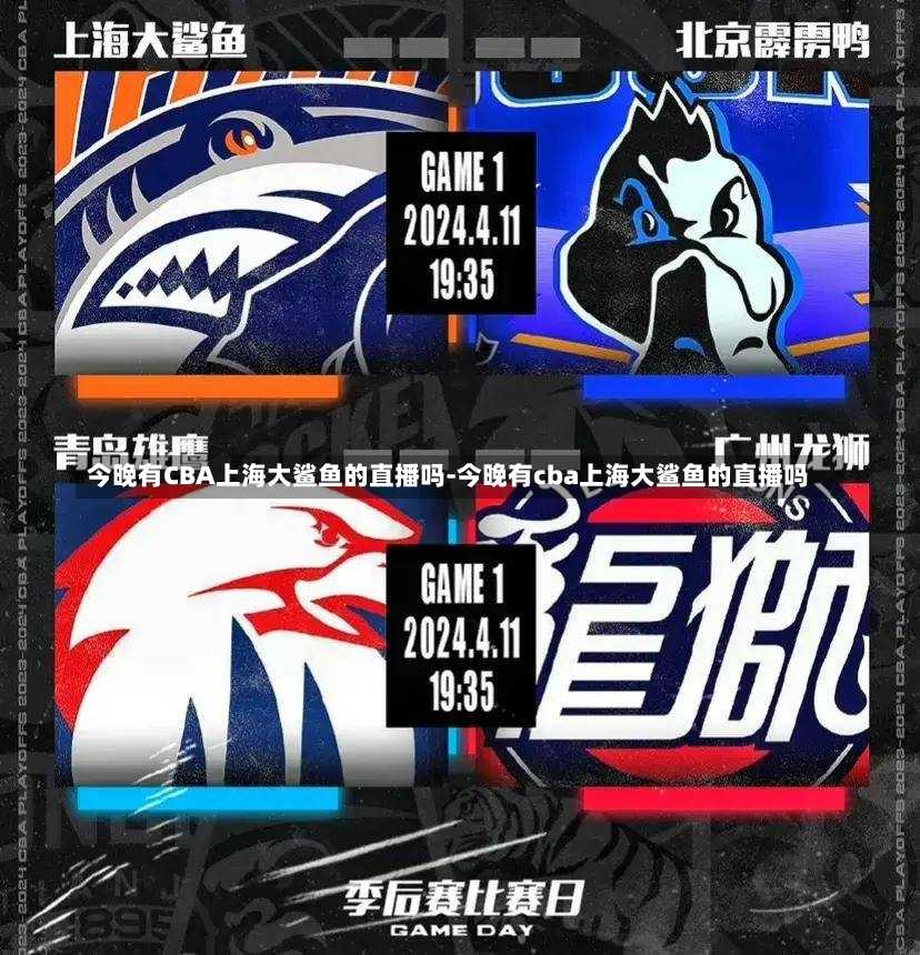 能球队