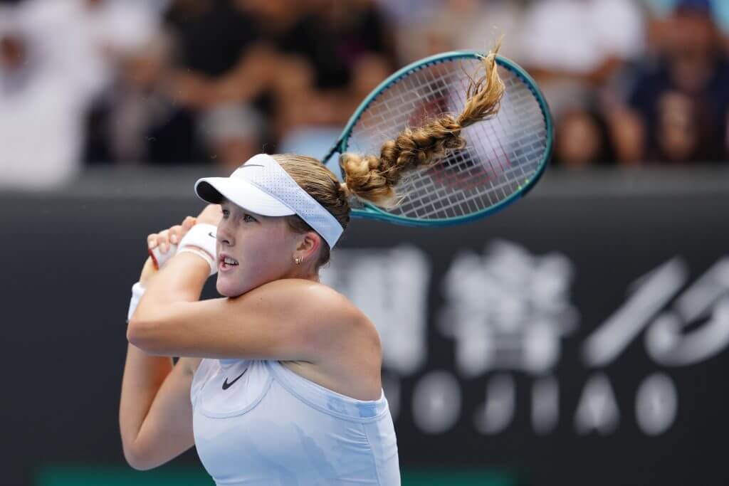风格下适应